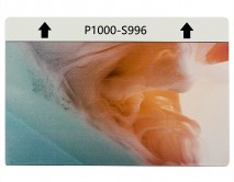 Защитная плёнка текстурная на заднюю часть "Краски" (Дым, S996)
